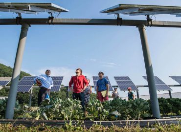 主办2026年中俄农业技术博览会